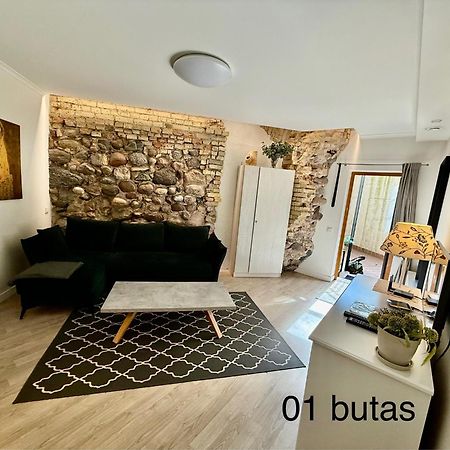 Six Apartment Simona VNO Exterior photo